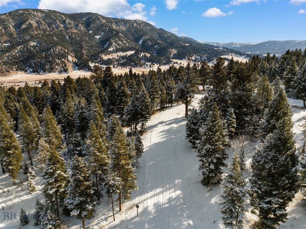 Blackfoot Hills - Land