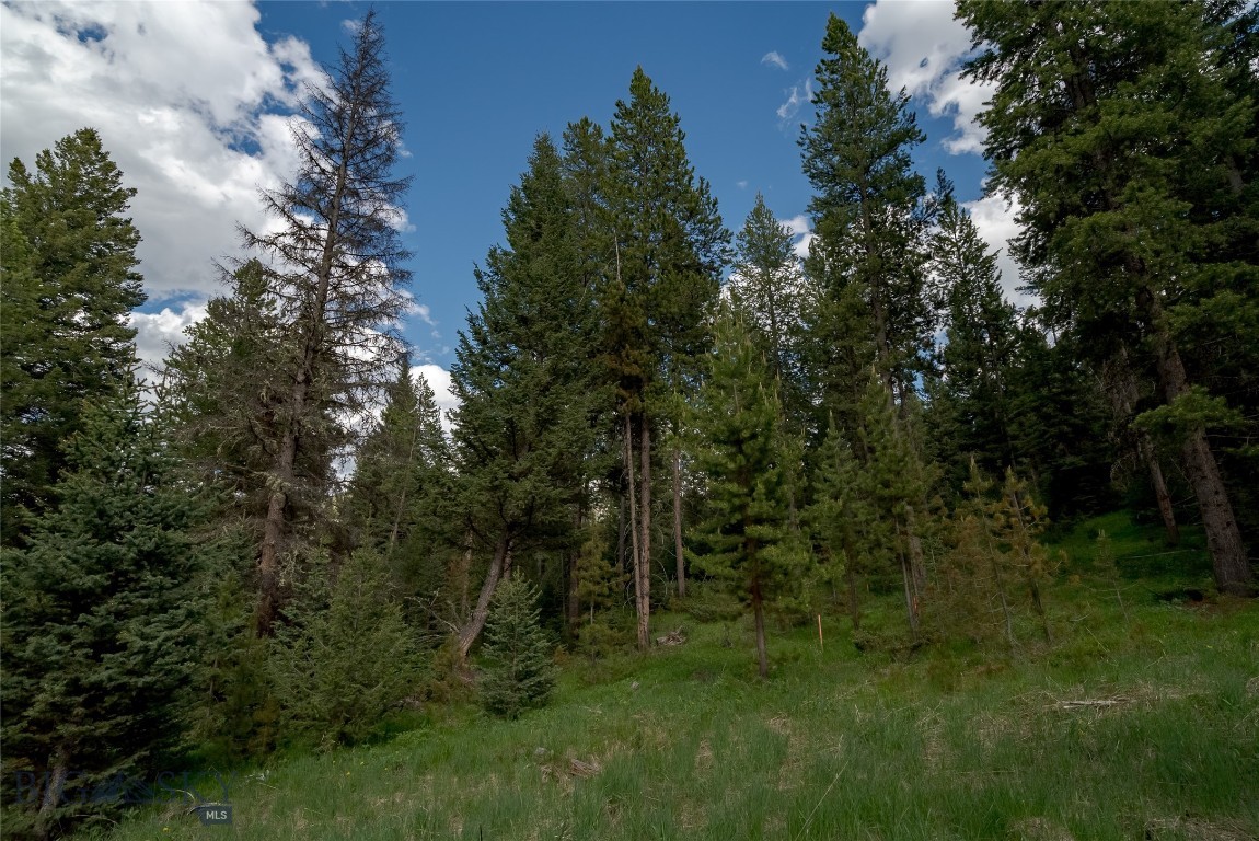 Blackfoot Hills - Land