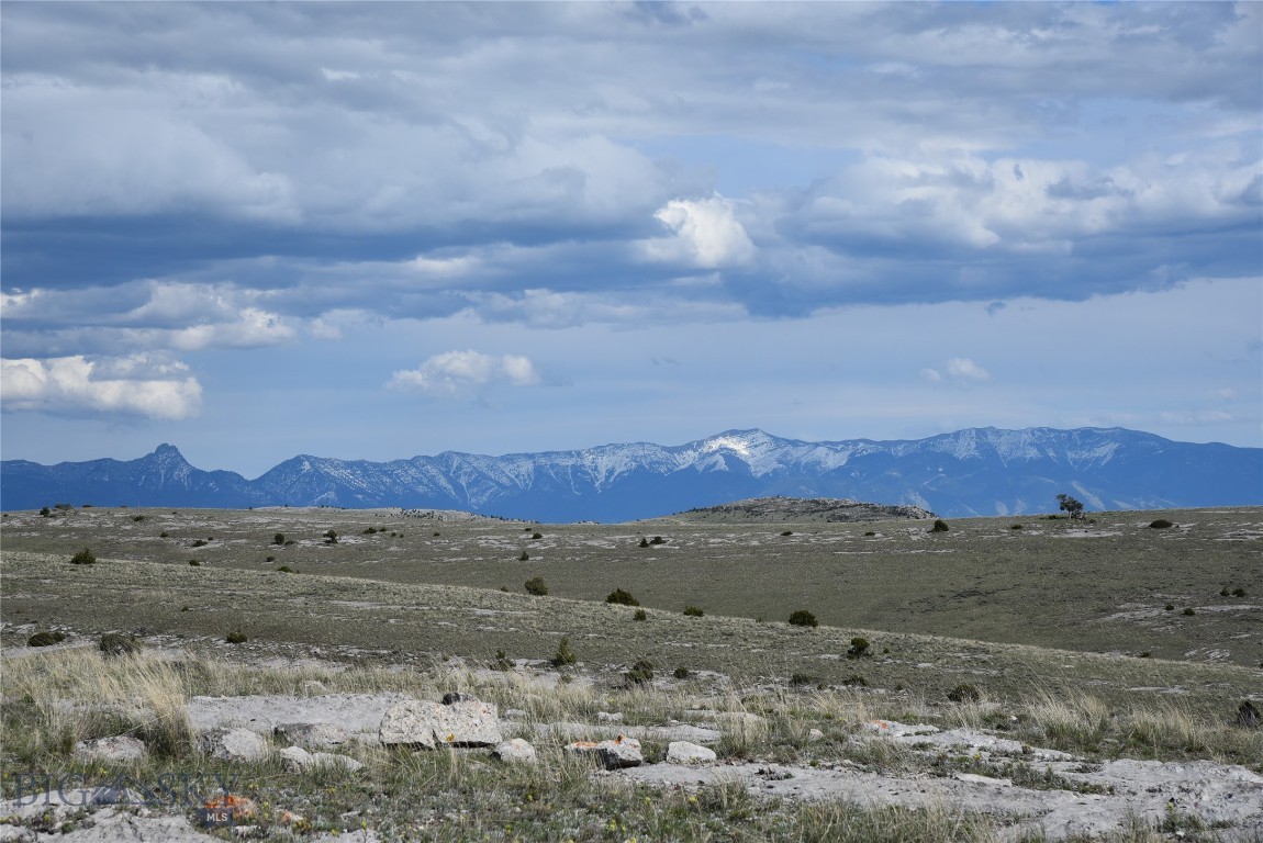 Certificate Of Survey COS - Land