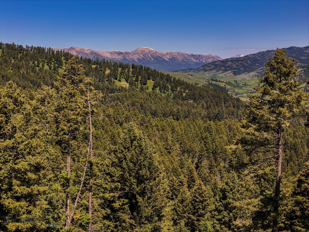 Mountain Brook - Land