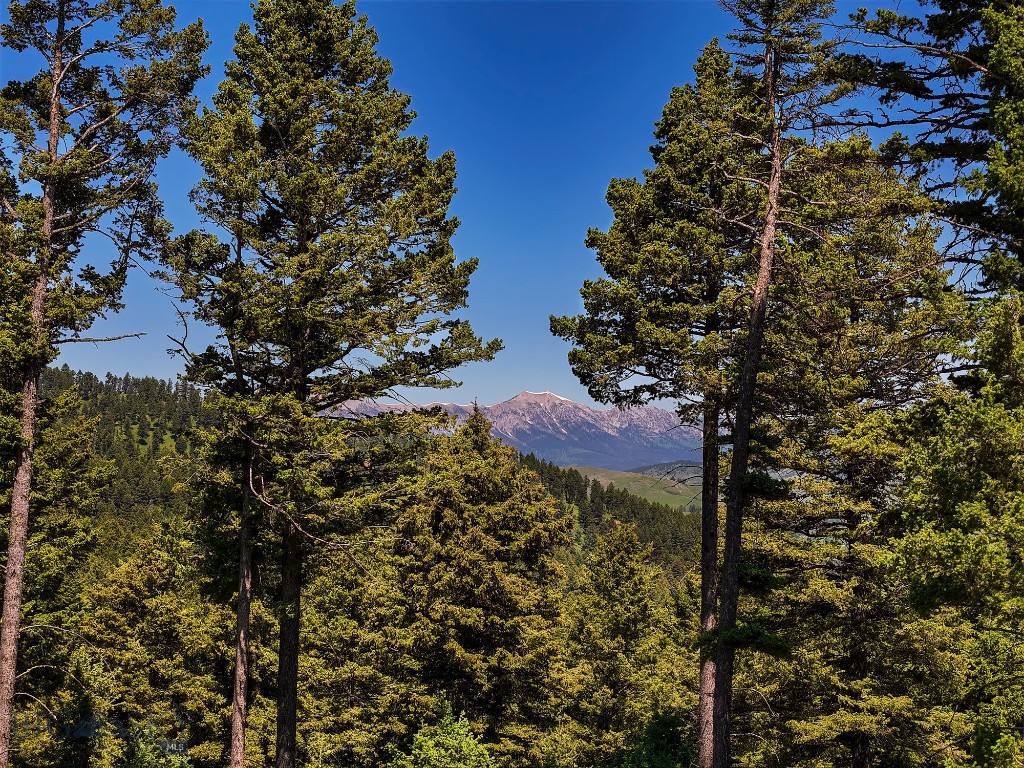Mountain Brook - Land