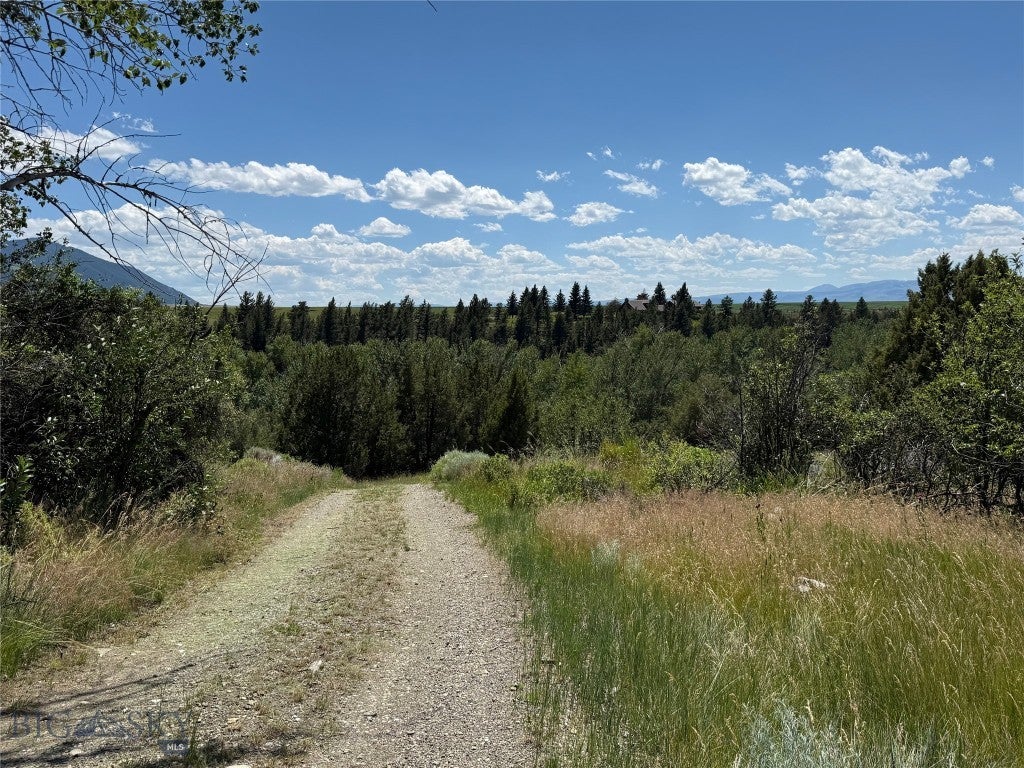 521 Jack Creek Road