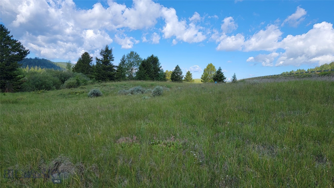 Minor Subdivision - Land