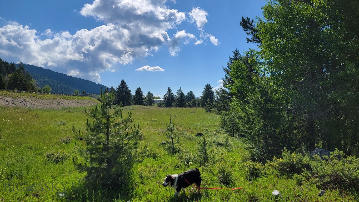 Minor Subdivision - Land