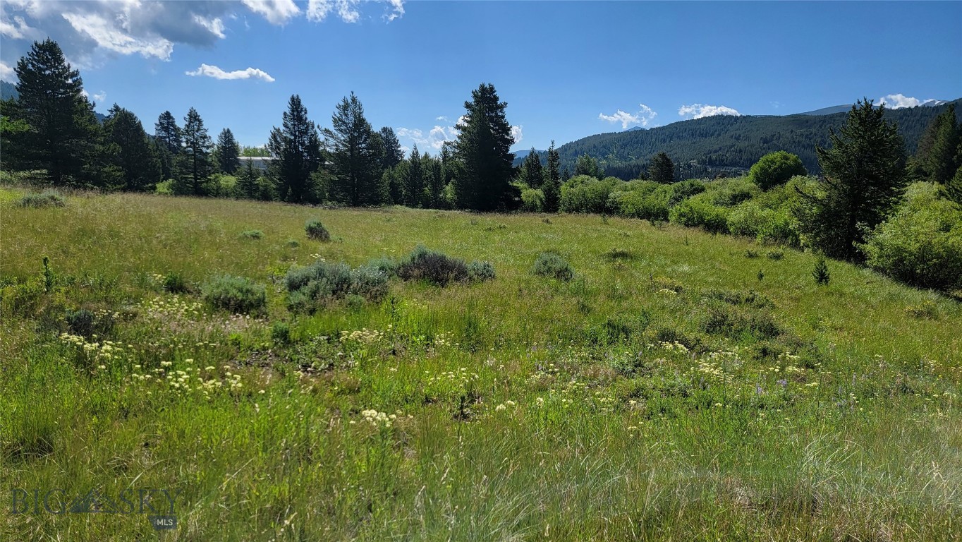Minor Subdivision - Land