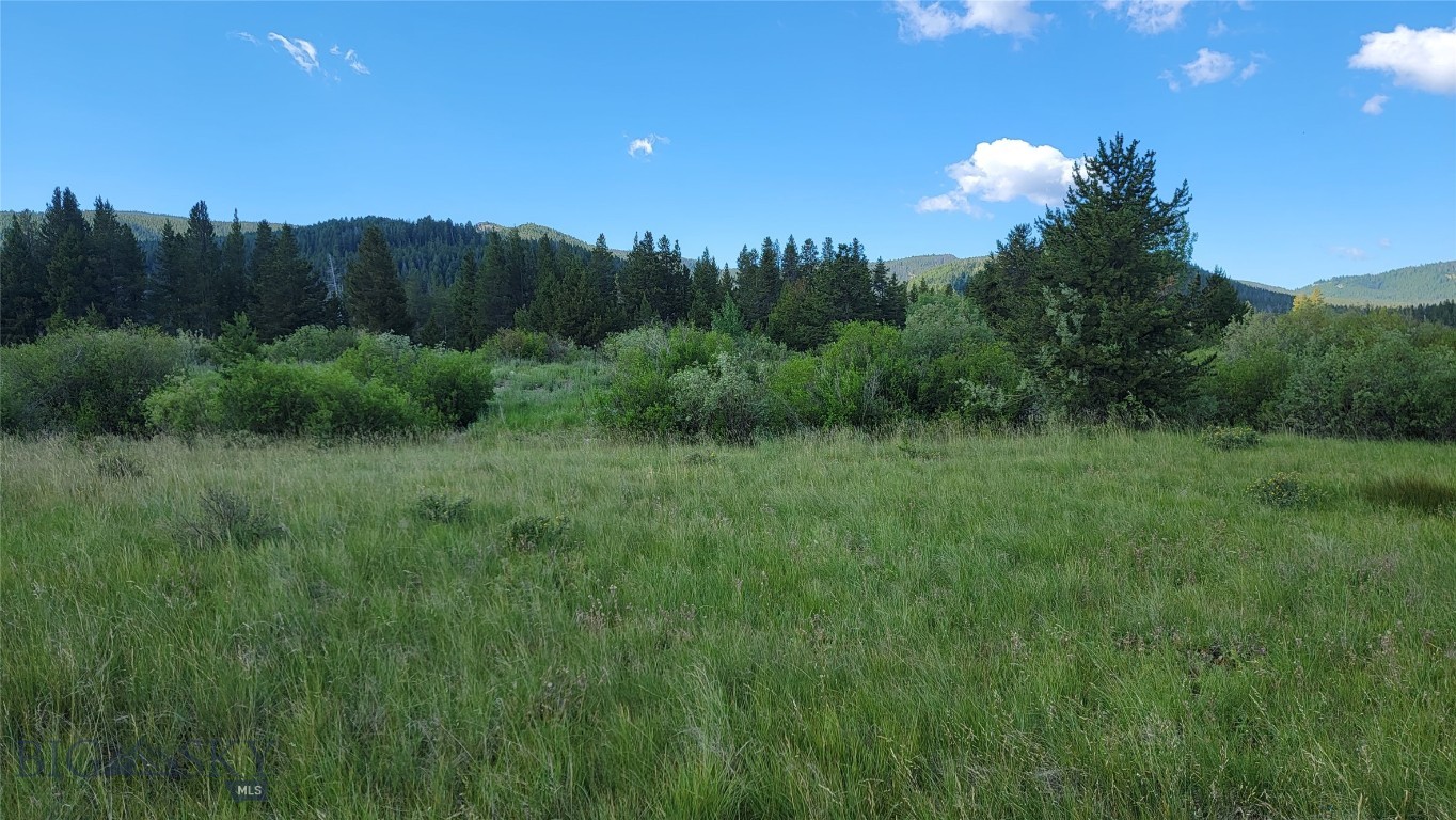 Minor Subdivision - Land
