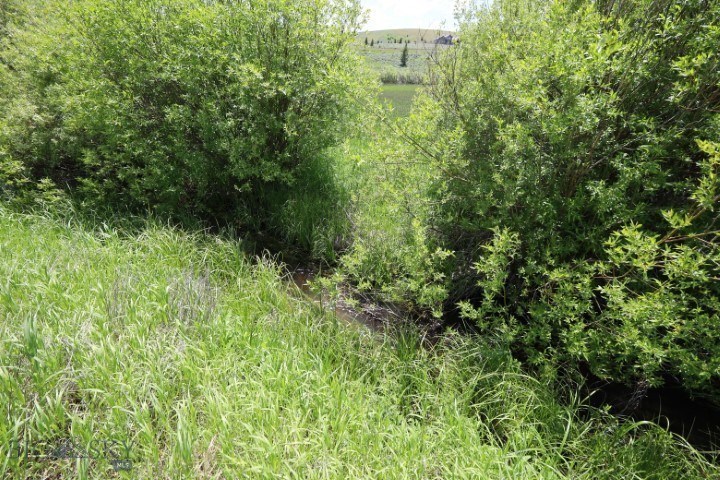 Minor Subdivision - Residential