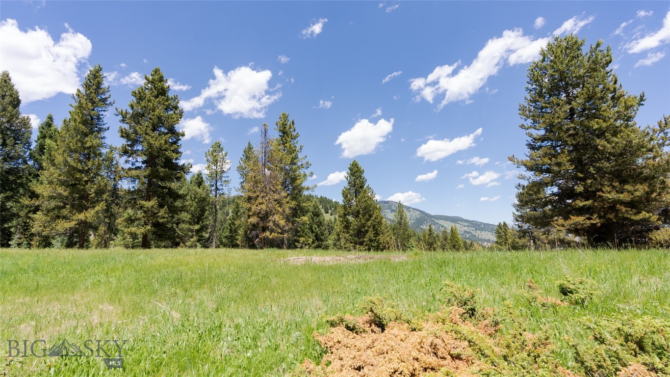 Lot 19 Colters Run Loop