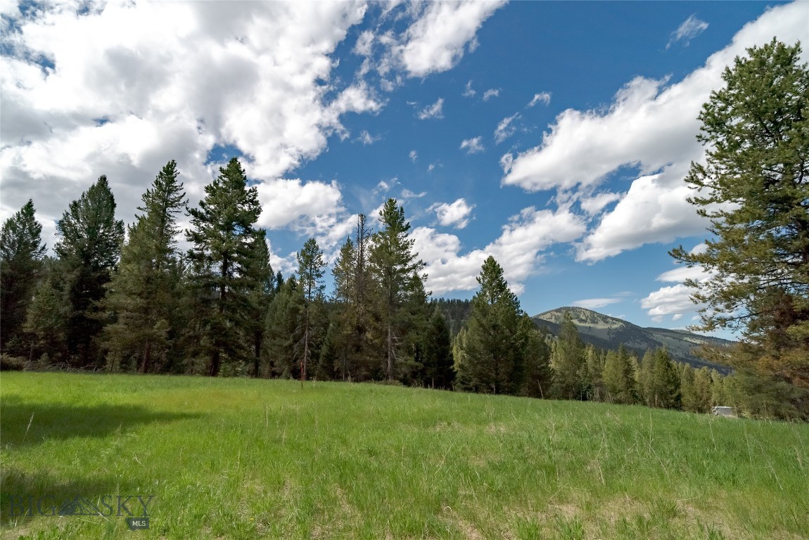 Lot 19 Colters Run Loop