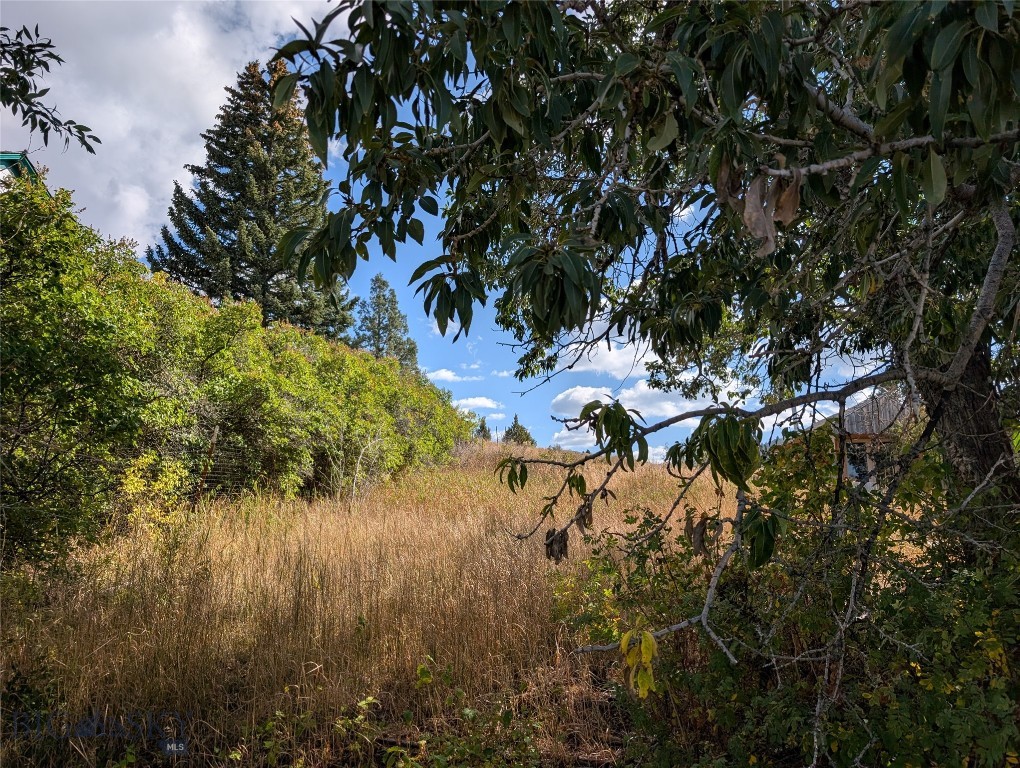 Virginia City Original Plat - Land