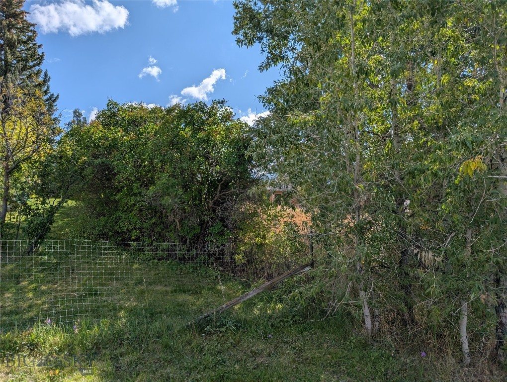 Virginia City Original Plat - Land