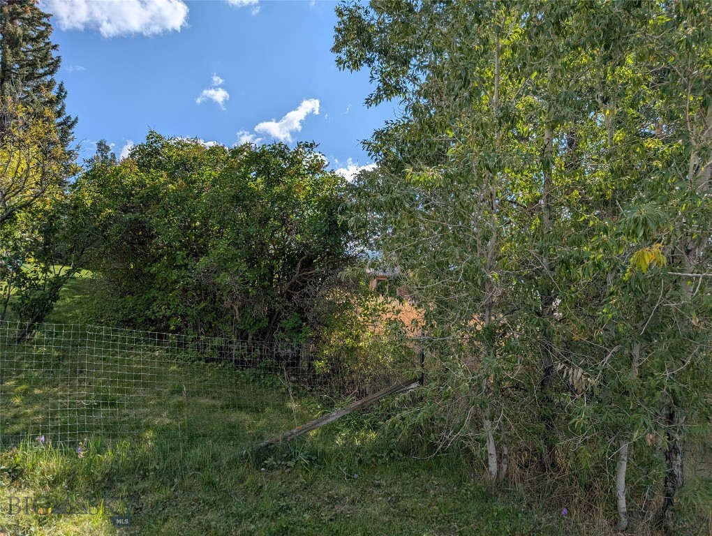 Virginia City Original Plat - Land