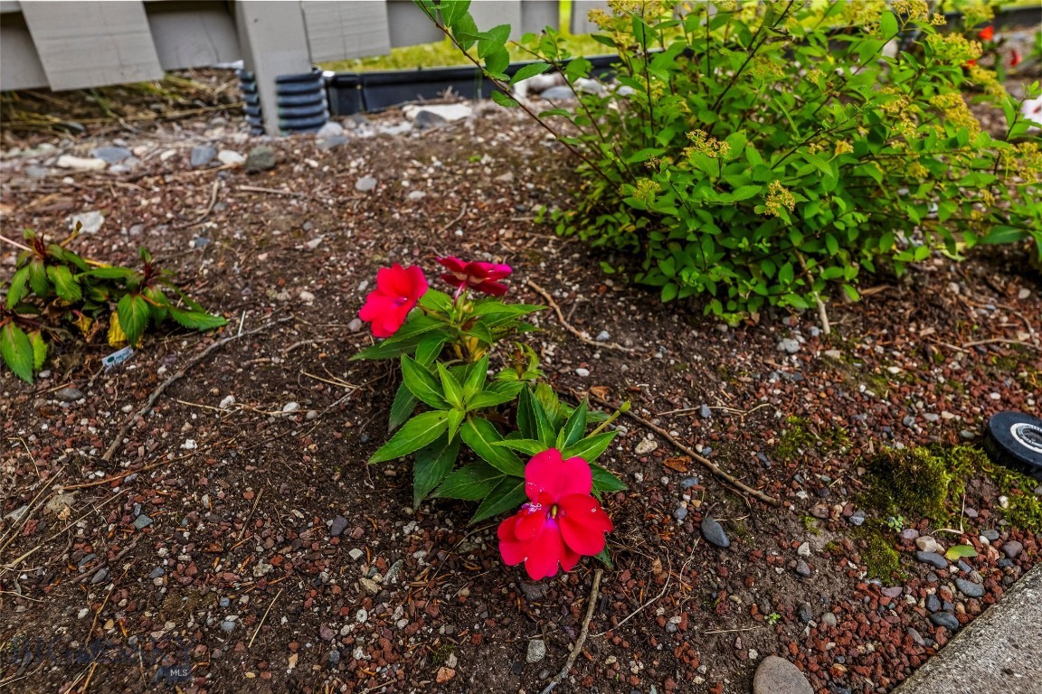 South Meadow Condos - Residential