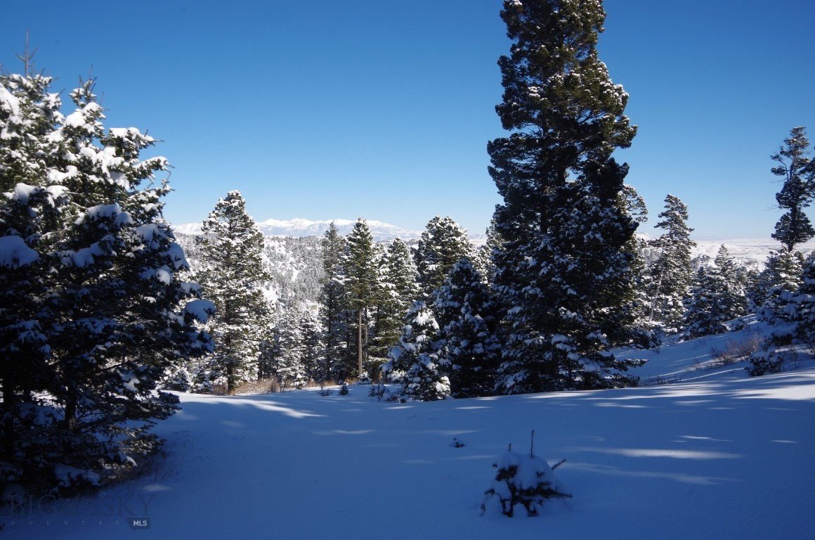 Hidden Springs Ranch - Land