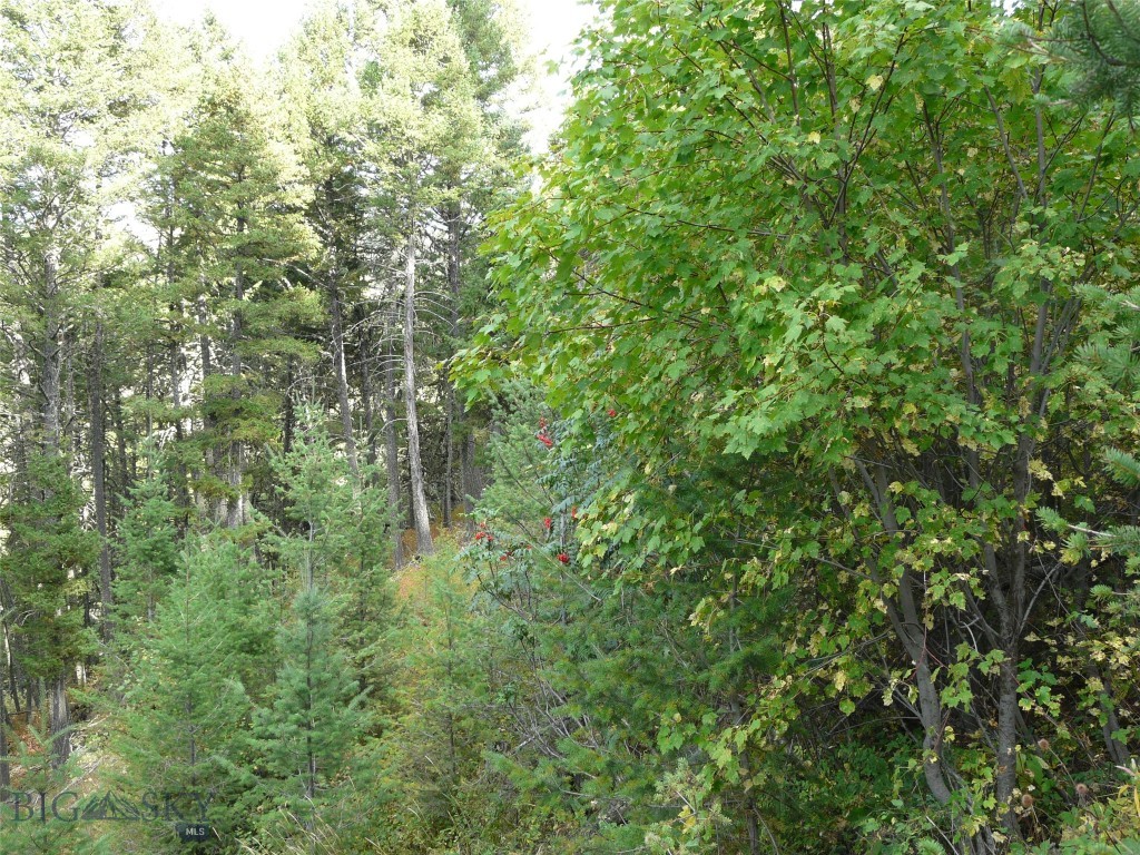 Hidden Springs Ranch - Land