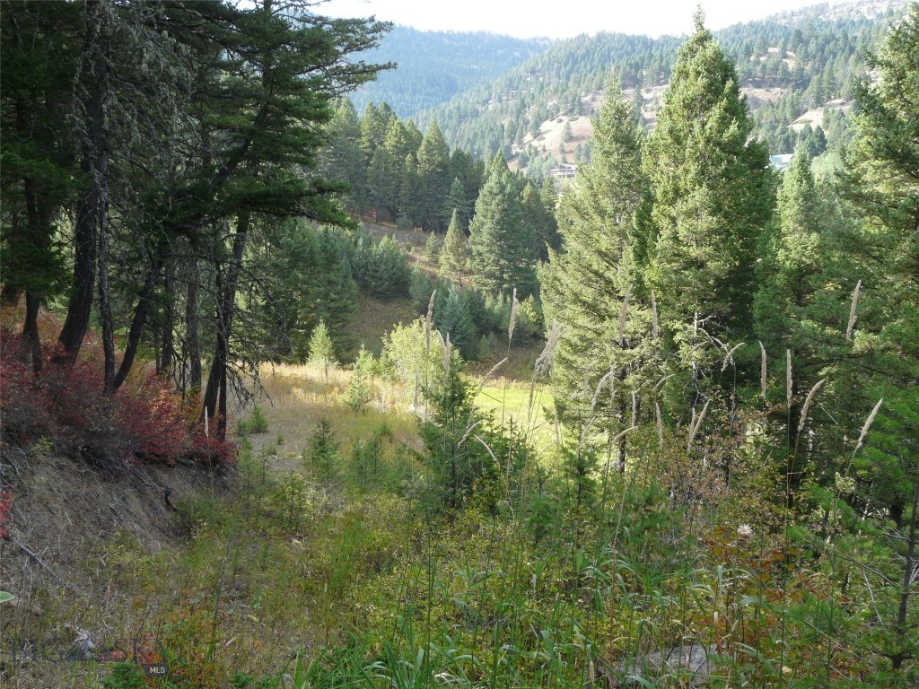 Hidden Springs Ranch - Land
