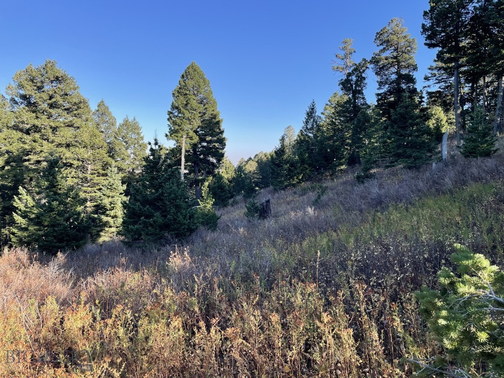 Hidden Springs Ranch - Land