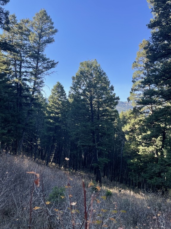 Hidden Springs Ranch - Land