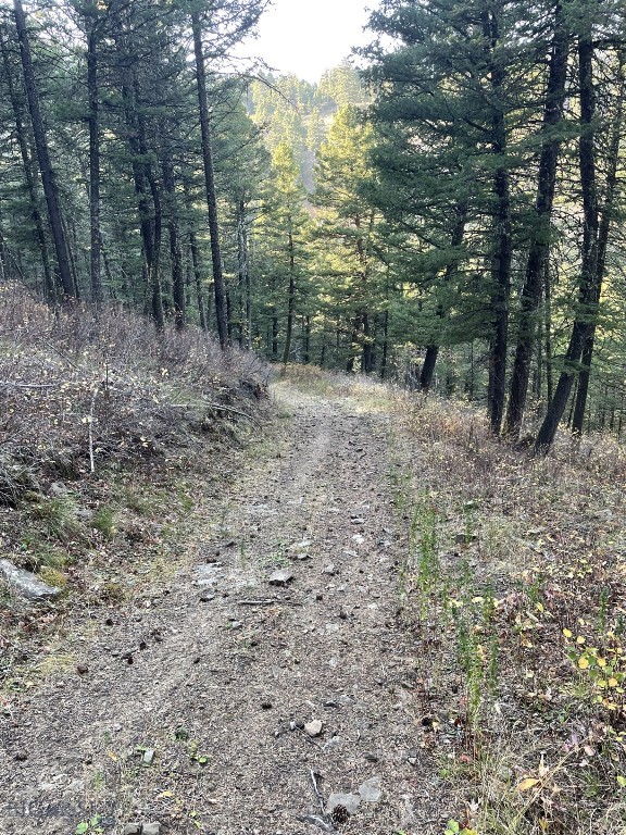 Hidden Springs Ranch - Land