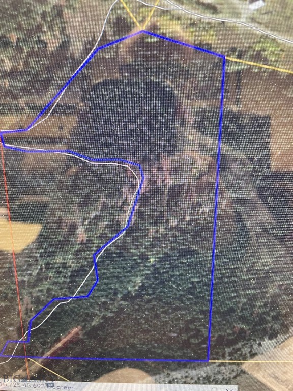 Hidden Springs Ranch - Land