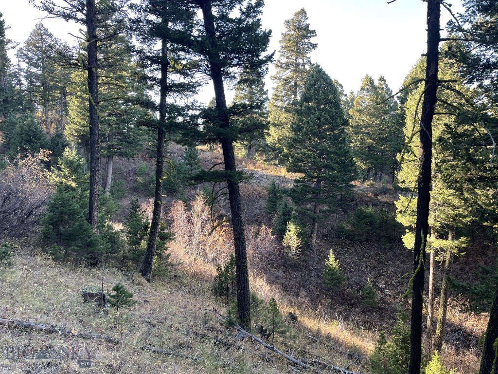 Hidden Springs Ranch - Land