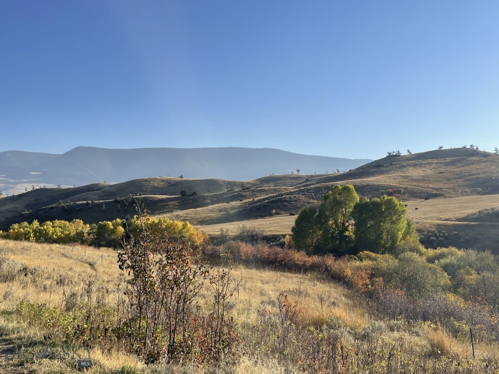 Hidden Springs Ranch - Land