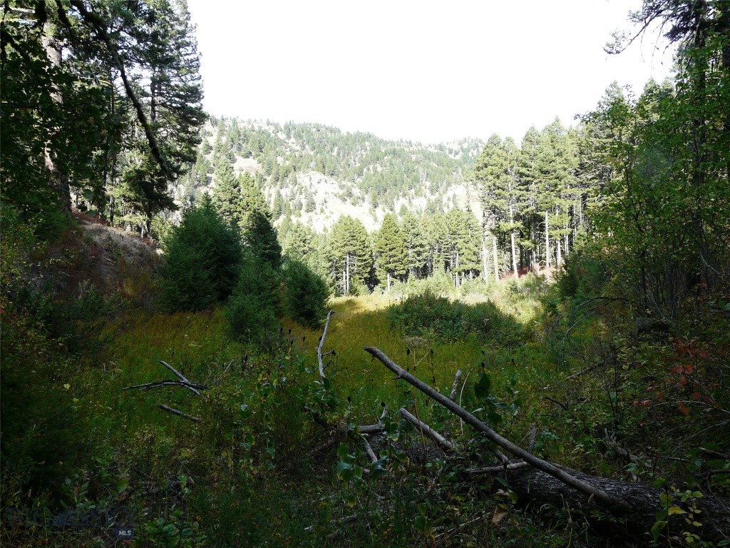 Hidden Springs Ranch - Land