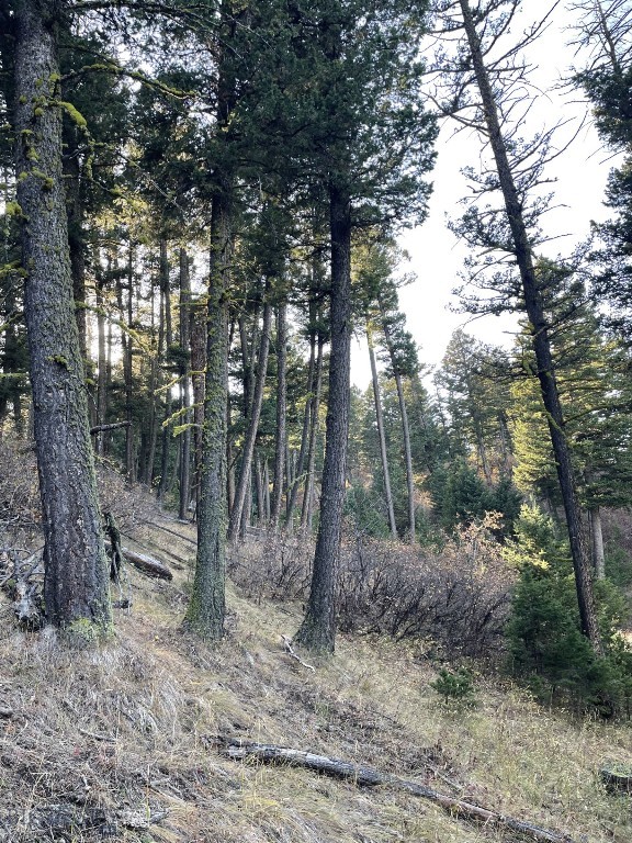 Hidden Springs Ranch - Land