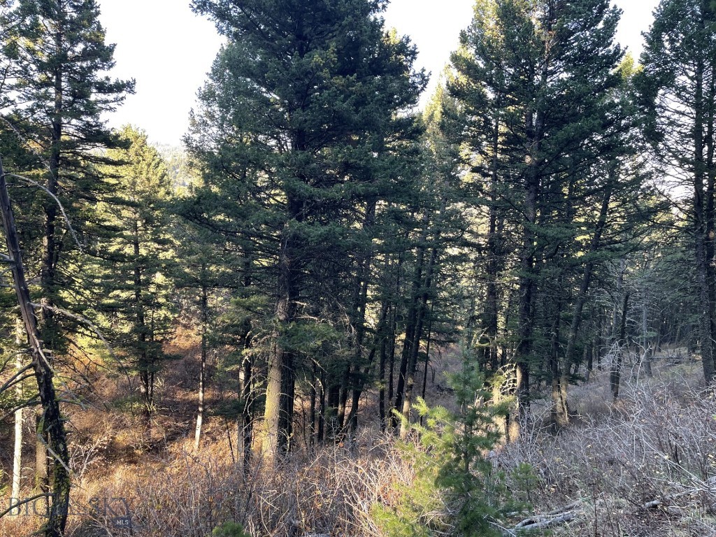 Hidden Springs Ranch - Land