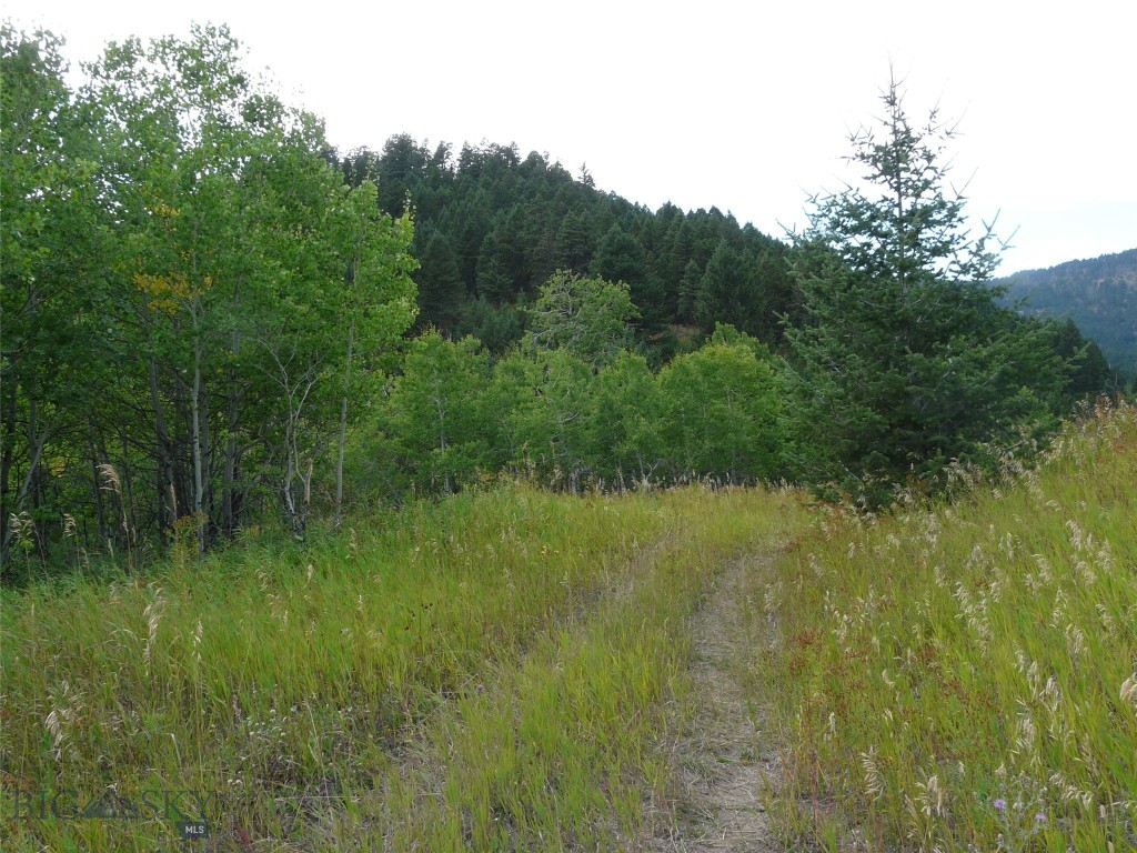 Hidden Springs Ranch - Land