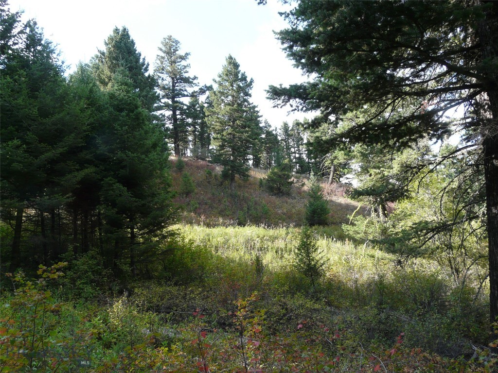 Hidden Springs Ranch - Land