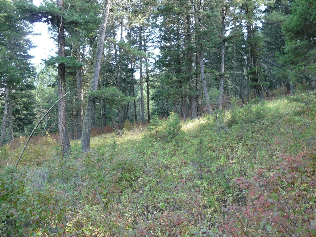 Hidden Springs Ranch - Land
