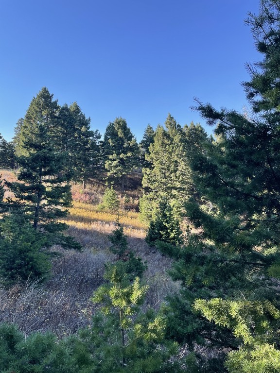 Hidden Springs Ranch - Land