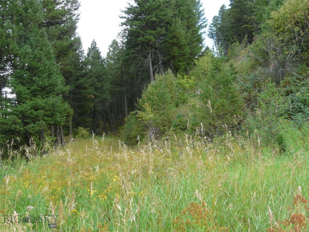 Hidden Springs Ranch - Land