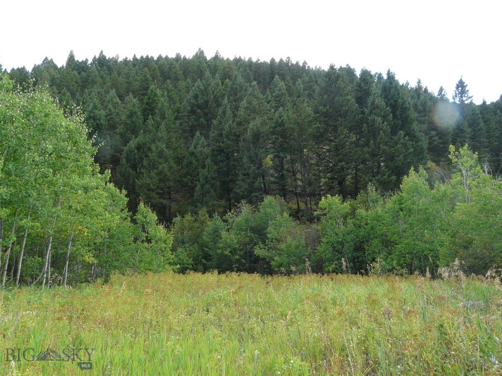 Hidden Springs Ranch - Land