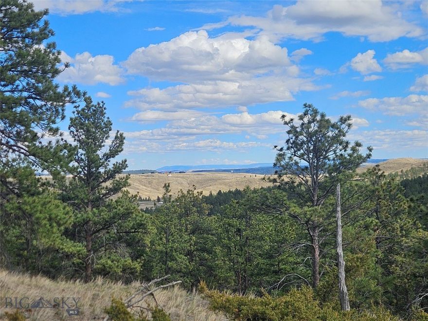 Discover secluded privacy with outstanding recreation and private river access on this 20-acre forested parcel. With two prepared driveways leading to upper and lower building sites, commanding views, and immediate access to extensive BLM lands, the property blends solitude with convenience — under an hour to Billings. Protective covenants and an active HOA preserve road quality and aesthetic standards. Power is on a neighboring lot, although a few other neighbors have chosen an off-grid system.
     Rare 20-acre parcel nestled in mature ponderosa pine forest with sweeping views of multiple mountain ranges and the Yellowstone River. Less than one hour to Billings, this private yet accessible property offers multiple building sites, existing driveways, direct recreational access, and significant public-land adjacency.
     Seller financing possible with 25% down payment.