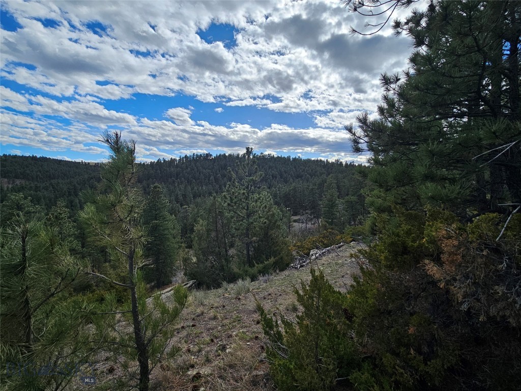 Other - Land