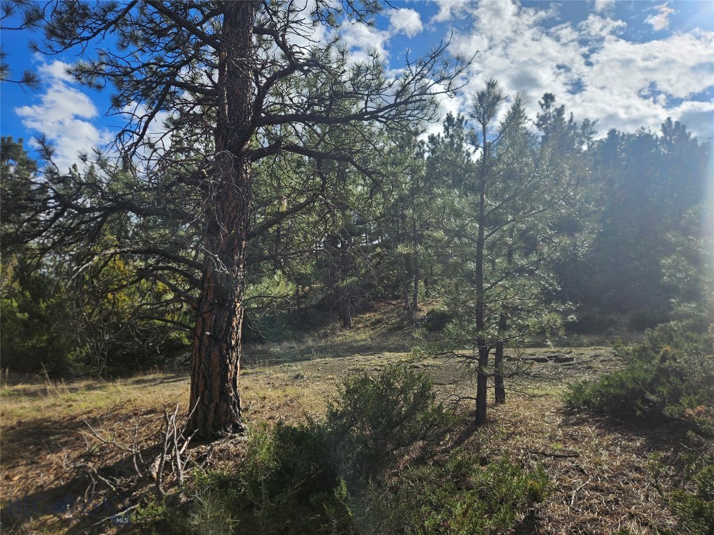 Other - Land