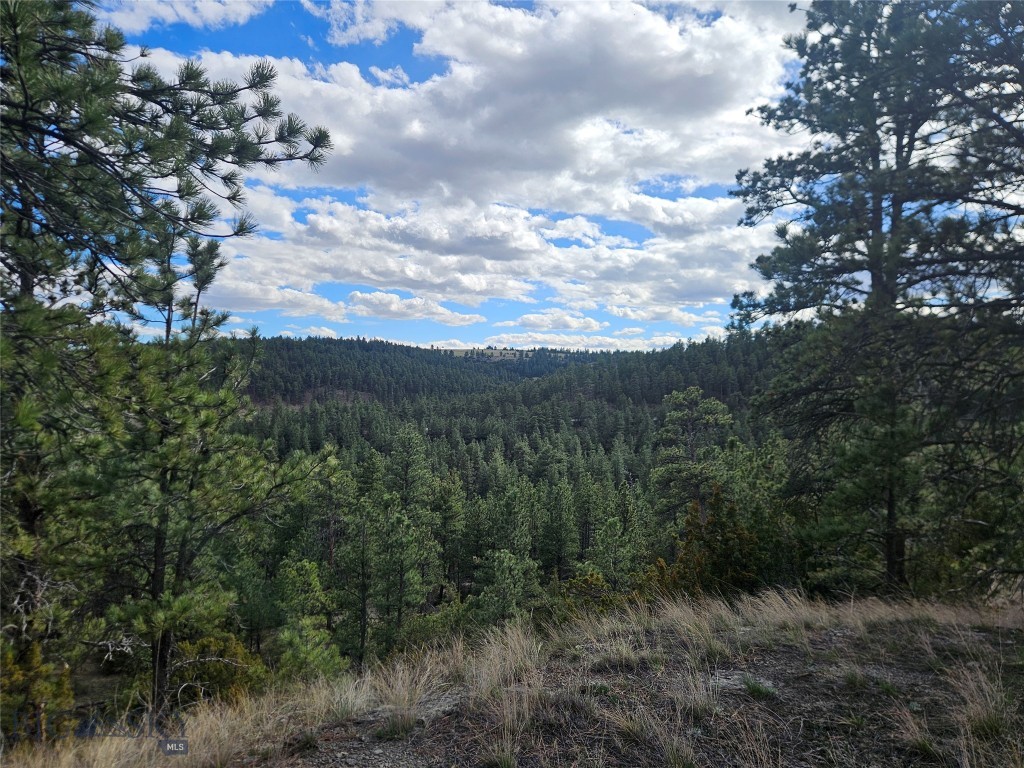 Other - Land