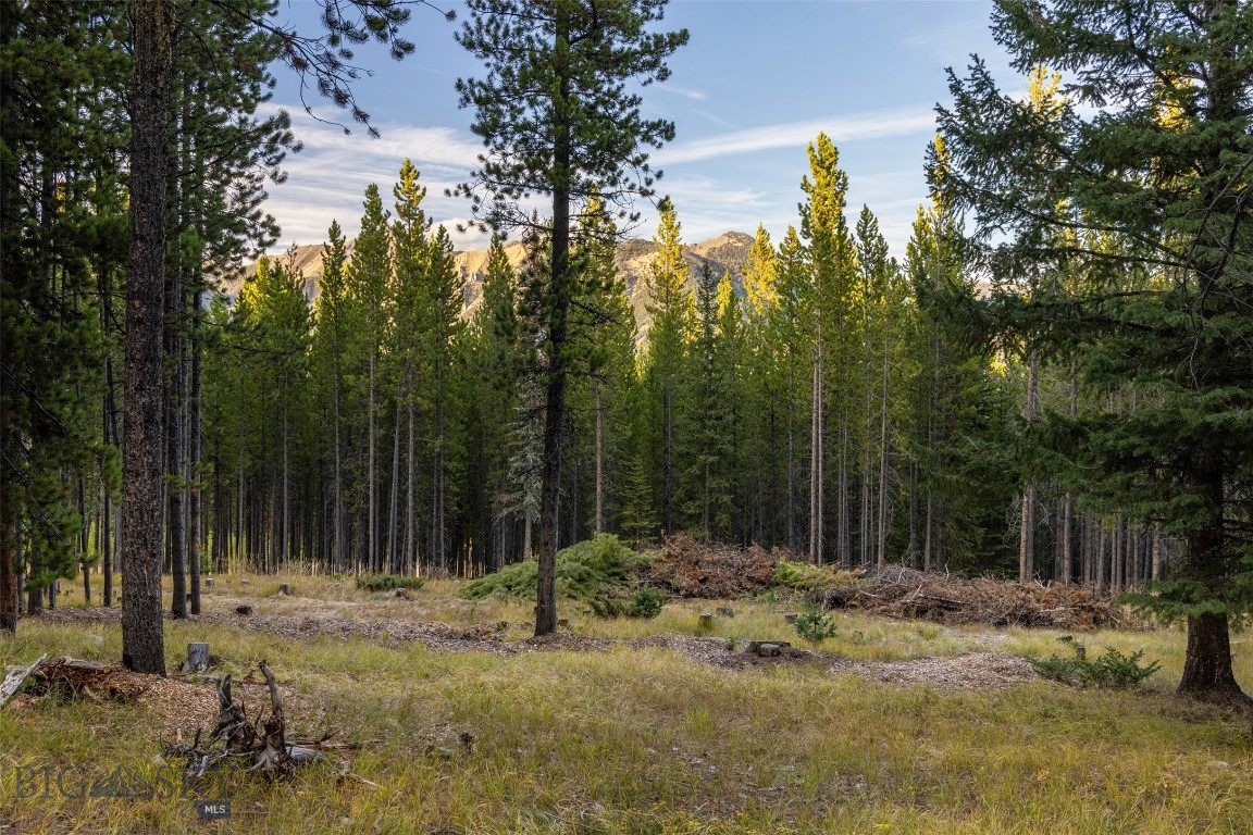 Location, views, privacy! Located in the beautiful Spanish Peaks North Subdivision, this vacant 3.06 acre wooded lot is a few minutes from vibrant Town Center, Ousel Falls Park, Spanish Peaks Mountain Club and the Yellowstone Club. Big Sky Resort is 10 miles away, Moonlight Basin is 11 miles away and the Yellowstone Park boundary is 25 miles away. Driving options to the property are easy with access through Town Center or the Aspen Groves area. This unique offering is adjacent to 37.97 acres of community open space, beautifully situated on a cul-de-sac street and centrally located near all of Big Sky's amenities. Wildlife including elk and moose are frequent visitors to this quiet mountain neighborhood. Take advantage of the Southern exposure, maintain privacy, and enhance the magnificent mountain views with strategic clearing. Your mountain dream home location is waiting for you.