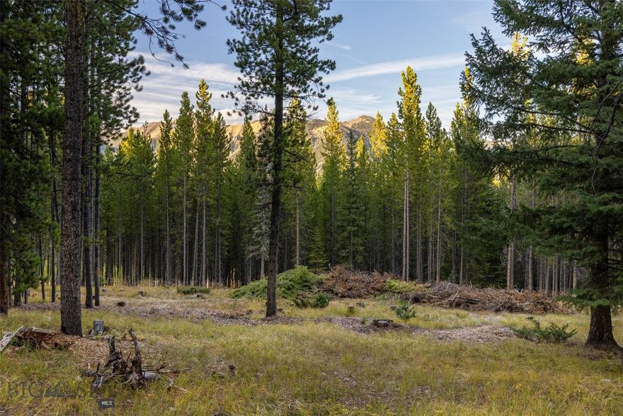 Location, views, privacy! Located in the beautiful Spanish Peaks North Subdivision, this vacant 3.06 acre wooded lot is a few minutes from vibrant Town Center, Ousel Falls Park, Spanish Peaks Mountain Club and the Yellowstone Club. Big Sky Resort is 10 miles away, Moonlight Basin is 11 miles away and the Yellowstone Park boundary is 25 miles away. Driving options to the property are easy with access through Town Center or the Aspen Groves area. This unique offering is adjacent to 37.97 acres of community open space, beautifully situated on a cul-de-sac street and centrally located near all of Big Sky's amenities. Wildlife including elk and moose are frequent visitors to this quiet mountain neighborhood. Take advantage of the Southern exposure, maintain privacy, and enhance the magnificent mountain views with strategic clearing. Your mountain dream home location is waiting for you.