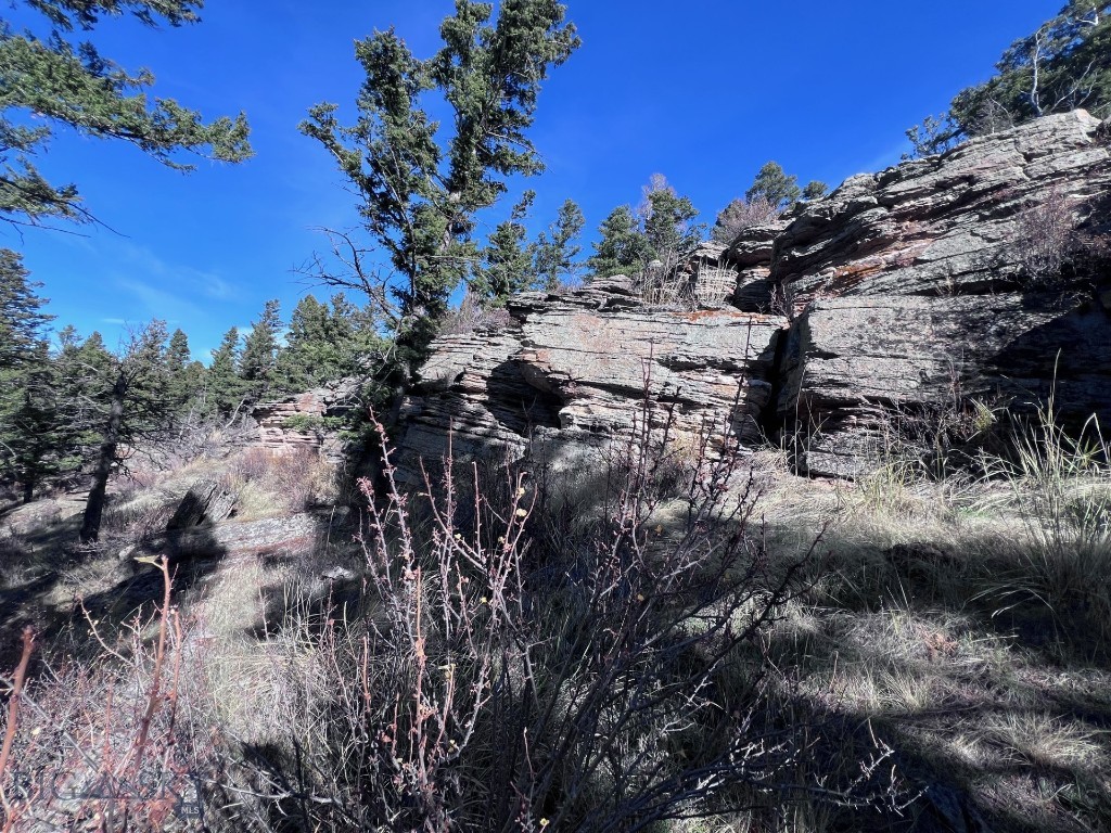 Yellowstone Basin Properties - Land