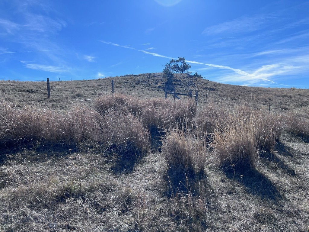 Yellowstone Basin Properties - Land