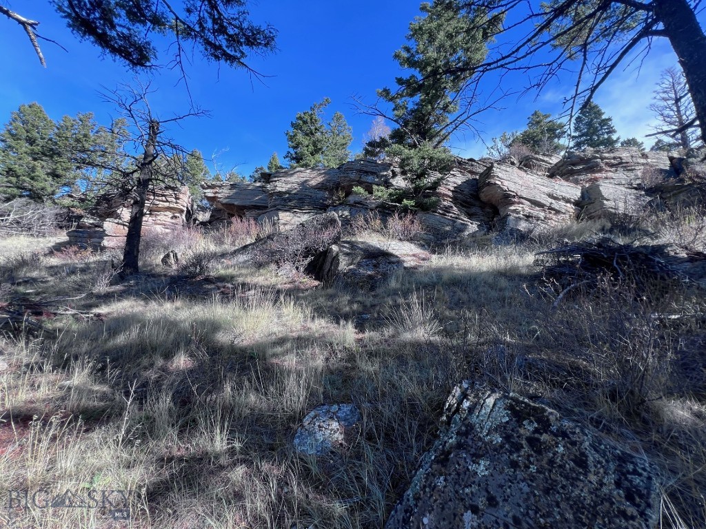 Yellowstone Basin Properties - Land