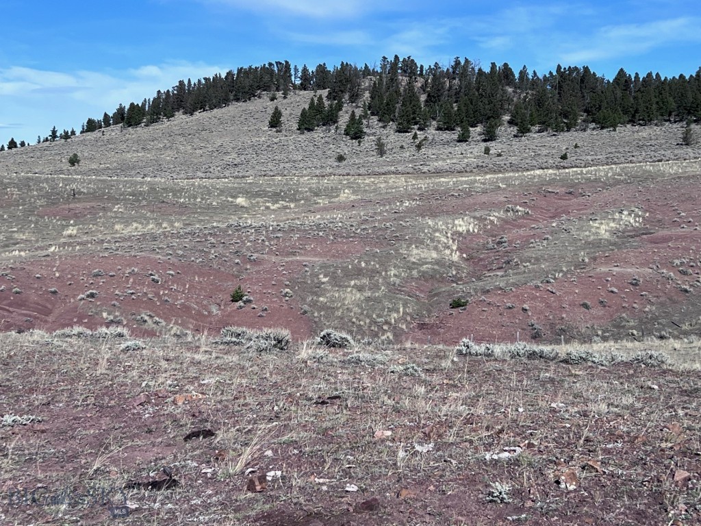 Yellowstone Basin Properties - Land