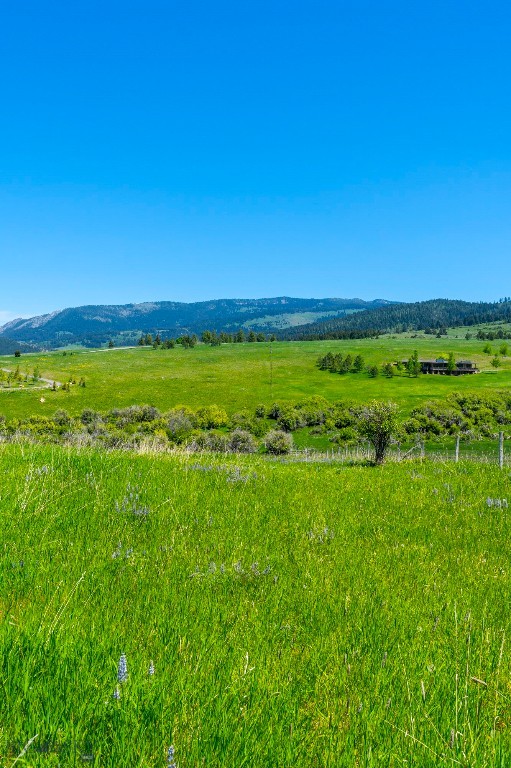Eagle Rock Reserve - Land
