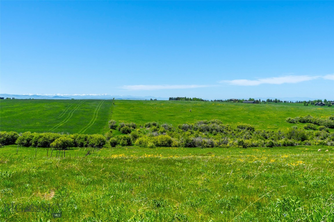 Eagle Rock Reserve - Land