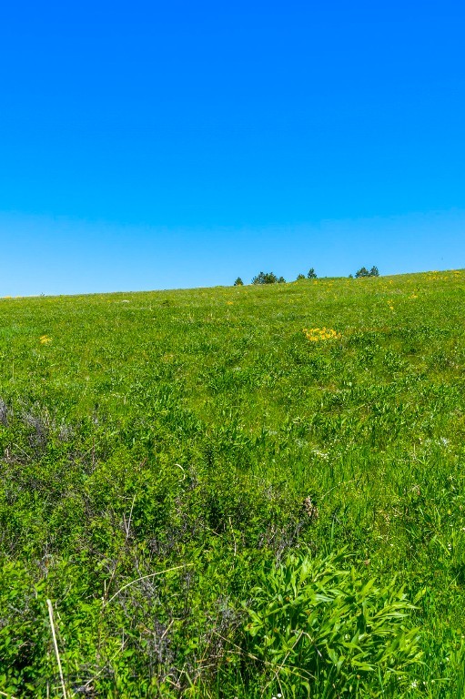 Eagle Rock Reserve - Land