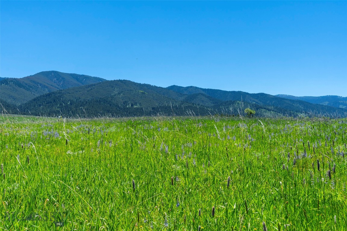 Eagle Rock Reserve - Land