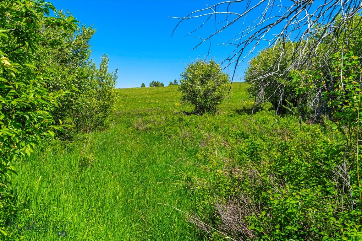 Eagle Rock Reserve - Land